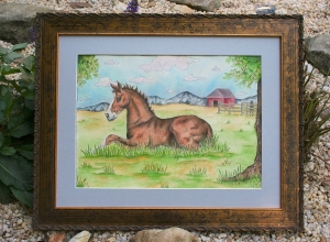framed foal