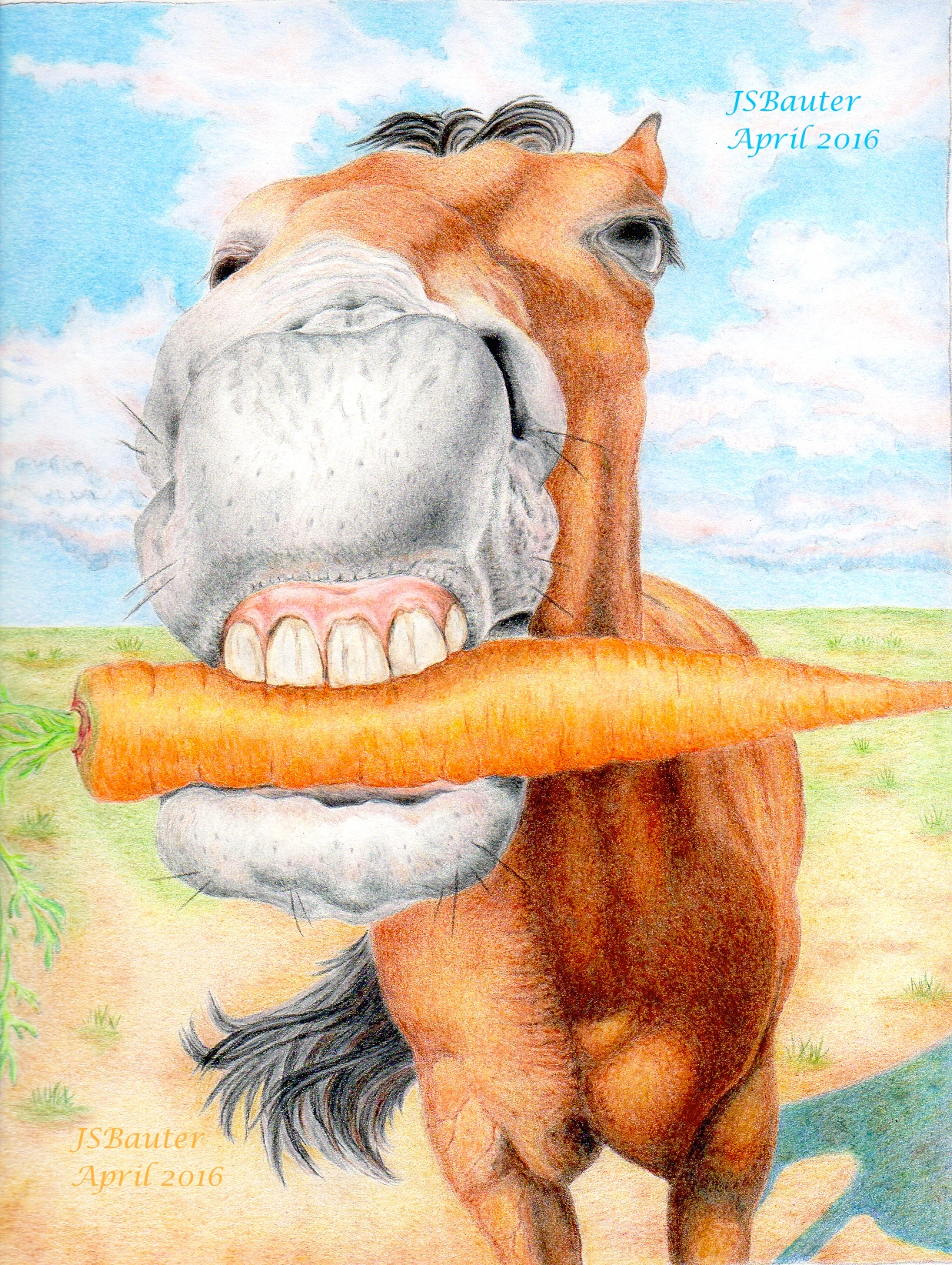 horse carrot 150dpi